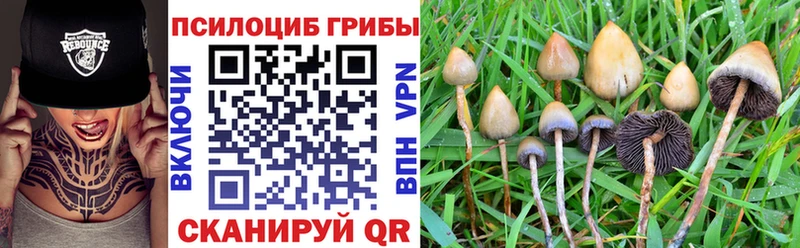 Псилоцибиновые грибы Magic Shrooms  Пятигорск 