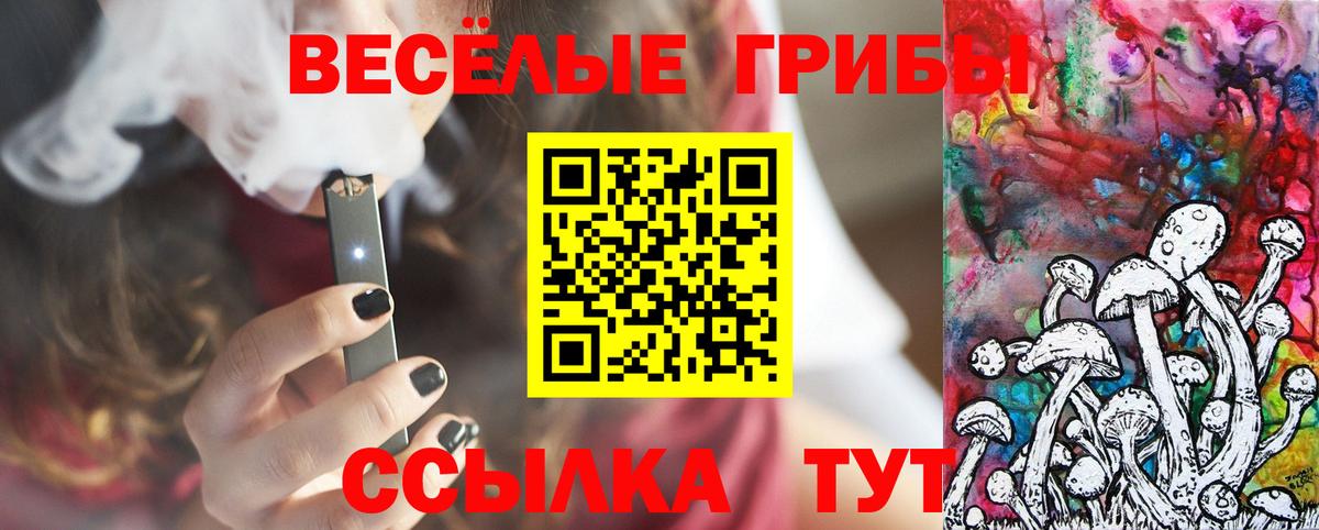 Галлюциногенные грибы Cubensis Пятигорск